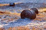 Frosty Bales_03158